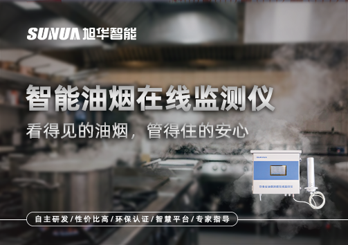 智能油烟在线监测仪：看得见的油烟，管得住的安心
